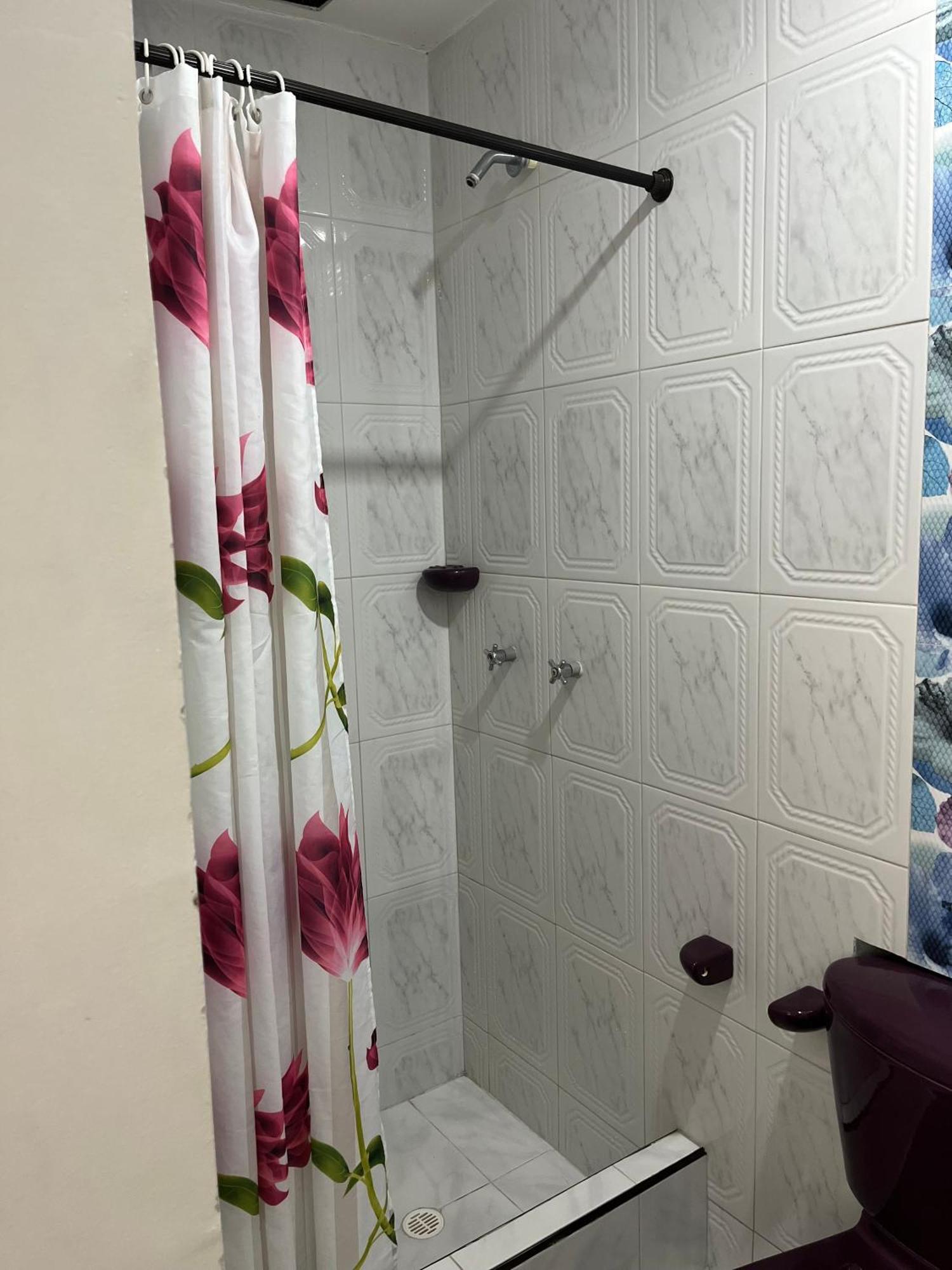 מניזאלס Hotel Babilonia מראה חיצוני תמונה
